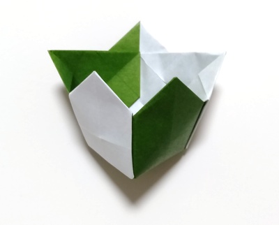 Origami Case by Kawate Ayako on giladorigami.com