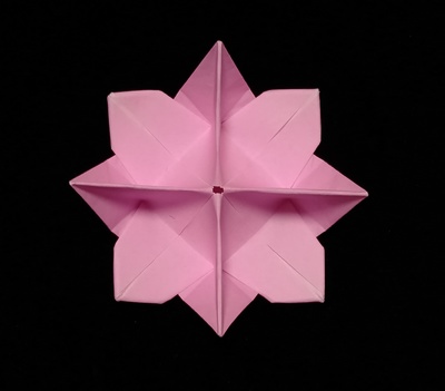 Origami Flower-shaped receptacle by Sumida Noriko on giladorigami.com