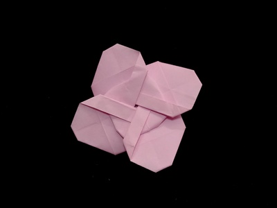 Origami Rose mallow by Kawate Ayako on giladorigami.com