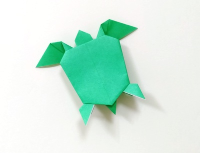 Origami Sea turtle by Fuchimoto Muneji on giladorigami.com
